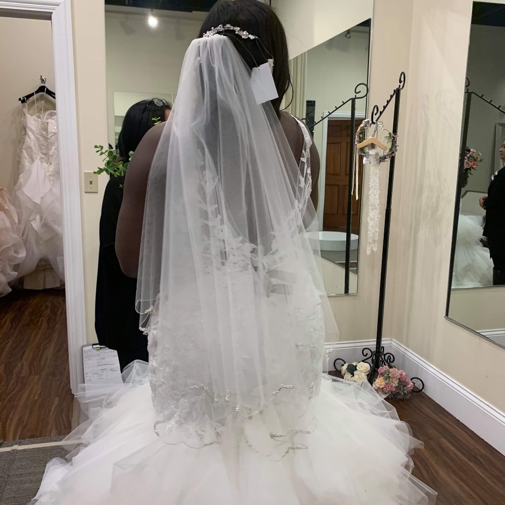Wedding Dress - Picture 6 of 7